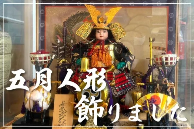 五月人形を展示しています